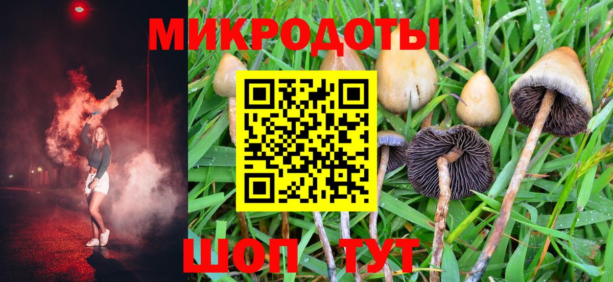 Галлюциногенные грибы мицелий Североморск
