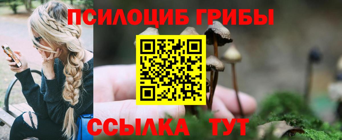 Псилоцибиновые грибы GOLDEN TEACHER  Галлюциногенные грибы Psilocybe  Североморск  Вход с VPN 
